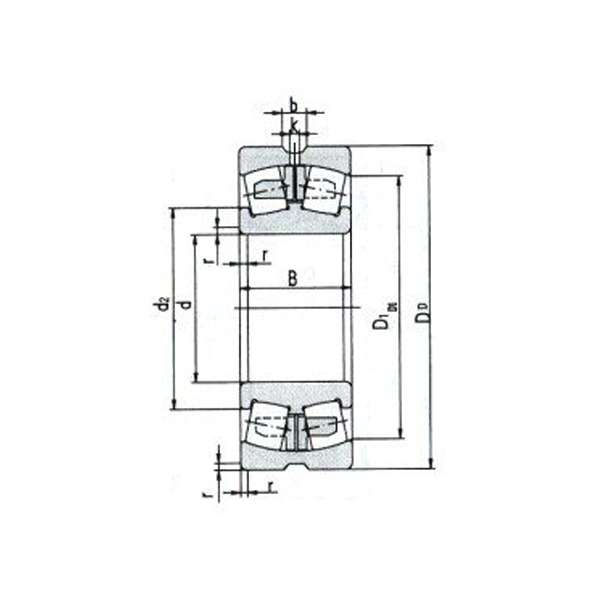 Spherical roller bearing para sa mga vibratory application