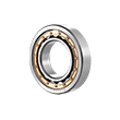 Mga Roller Bearing